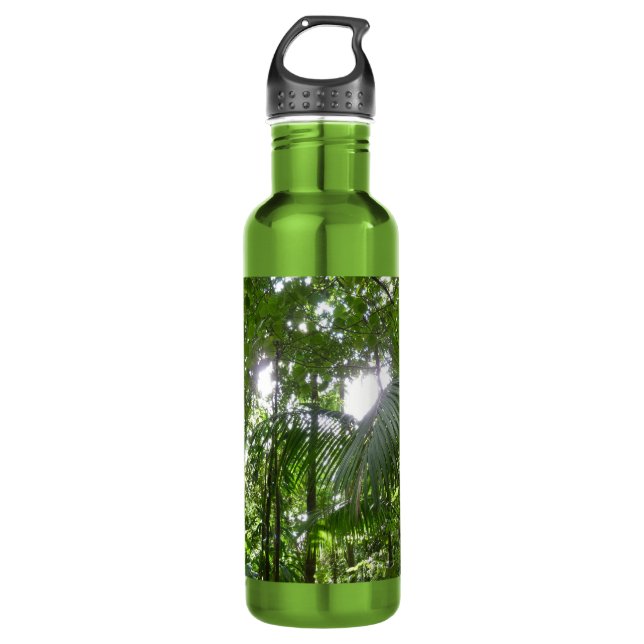 Sunlight Through Rainforest Canopy Tropical Green 710 Ml Water Bottle (Front)