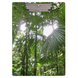 Sunlight Through Rainforest Canopy Tropical Green Clipboard