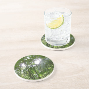 Sunlight Through Rainforest Canopy Tropical Green Coaster