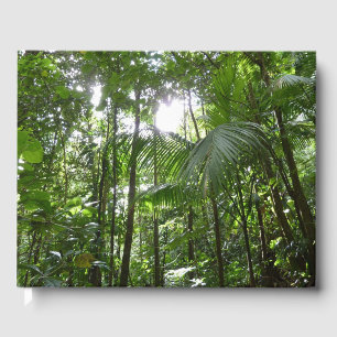 Sunlight Through Rainforest Canopy Tropical Green Guest Book
