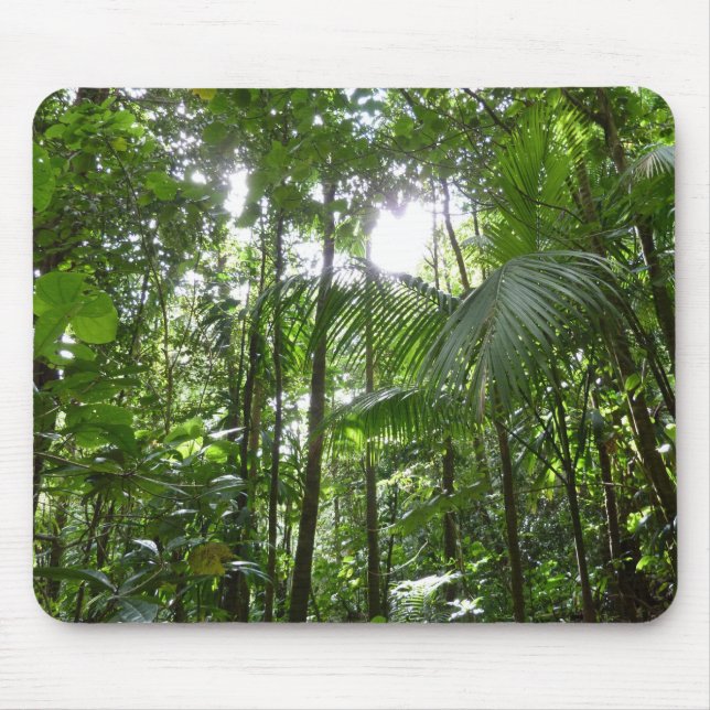 Sunlight Through Rainforest Canopy Tropical Green Mouse Pad (Front)