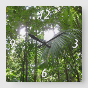 Sunlight Through Rainforest Canopy Tropical Green Square Wall Clock