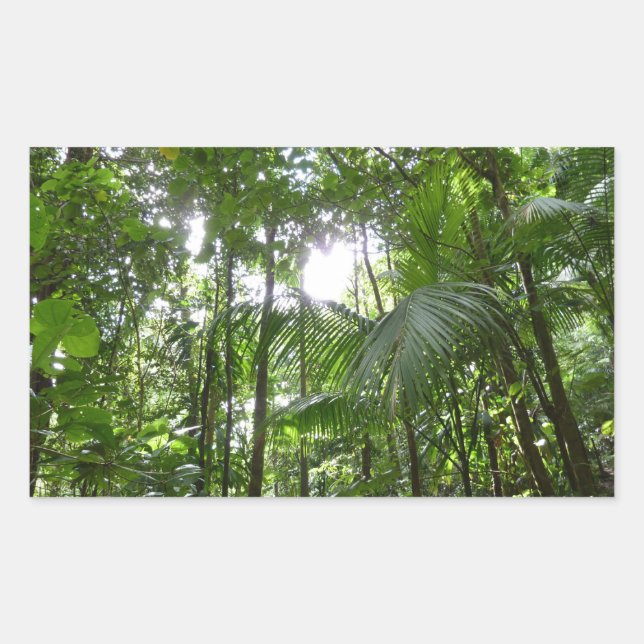 Sunlight Through Rainforest Canopy Tropical Green Sticker (Front)