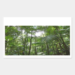 Sunlight Through Rainforest Canopy Tropical Green Sticker