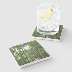 Sunlight Through Rainforest Canopy Tropical Green Stone Coaster