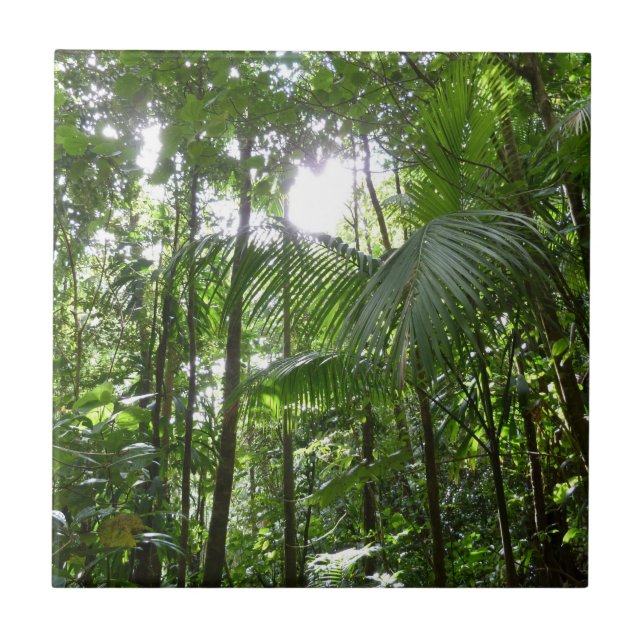 Sunlight Through Rainforest Canopy Tropical Green Tile (Front)