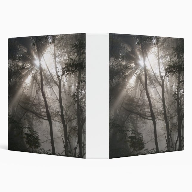 Sunlight Through Trees Dark Woodland Binder (Background)