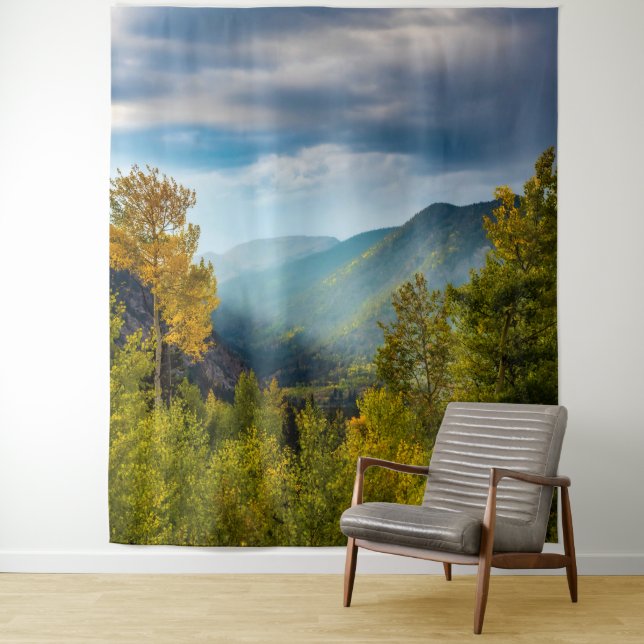 Sunlight Valley // Autumn Color Forest Tapestry (In Situ)