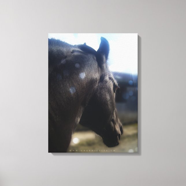 Sunlight - Wrapped Canvas (Front)