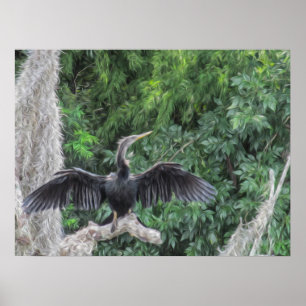 Sunlit Anhinga on a Mossy Branch Poster