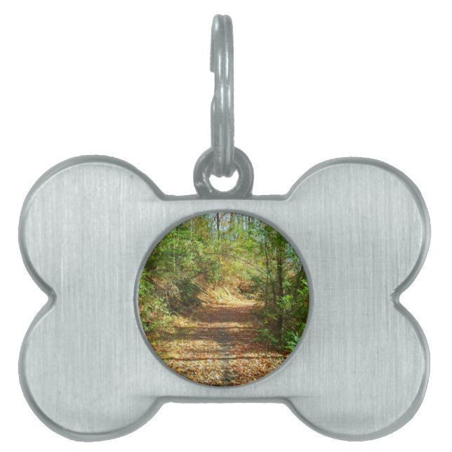 Sunlit Autumn Forest Trail Pet ID Tag (Front)