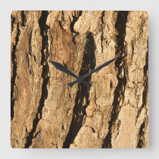 Sunlit Bark Square Wall Clock (Front)