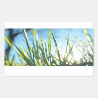 Sunlit Blades Sticker