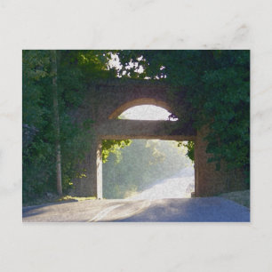 Sunlit Bridge Postcard