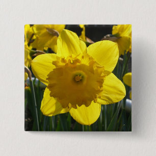 Sunlit Daffodil 2 Inch Square Button
