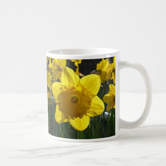 Sunlit Daffodil Coffee Mug (Right)