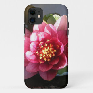 Sunlit Dark Pink Water Lily Flower iPhone 11 Case