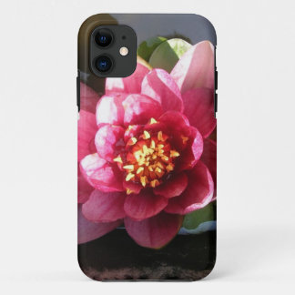 Sunlit Dark Pink Water Lily Flower iPhone 11 Case