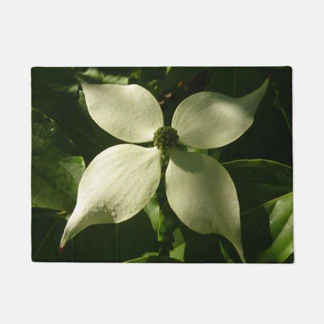 Sunlit Dogwood Blossom Spring Floral Doormat (Front)