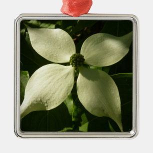 Sunlit Dogwood Blossom Spring Floral Metal Ornament