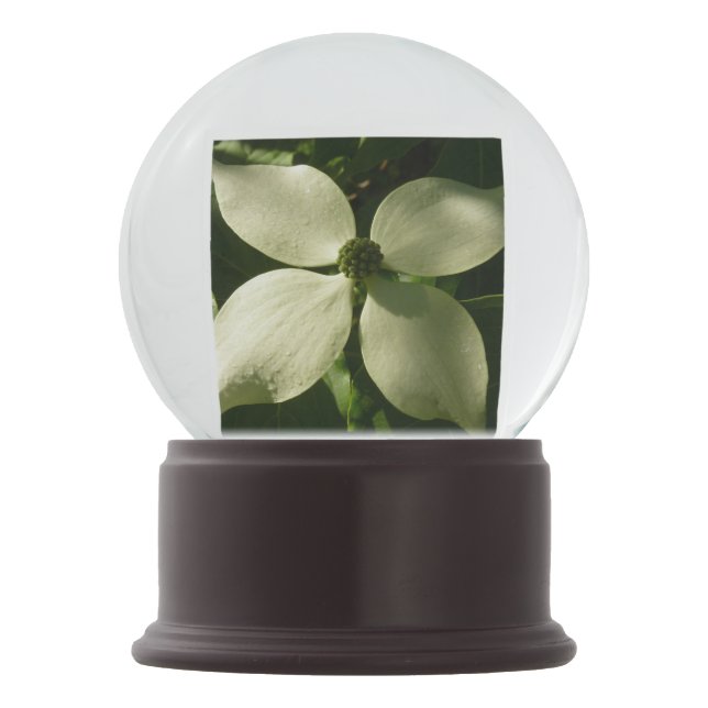 Sunlit Dogwood Blossom Spring Floral Snow Globe (Front)