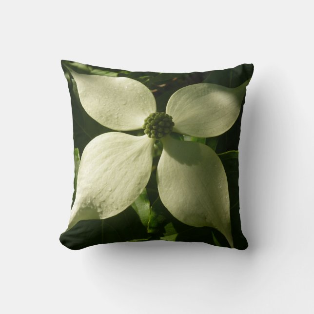 Sunlit Dogwood Blossom Spring Floral Throw Pillow (Front)
