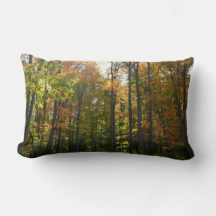 Sunlit Fall Forest Autumn Landscape Lumbar Pillow