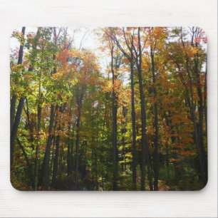 Sunlit Fall Forest Autumn Landscape Mouse Pad