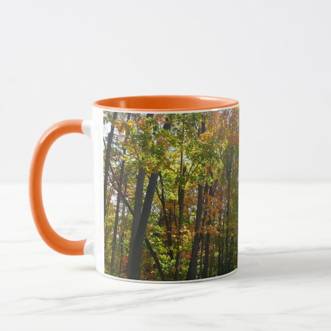 Sunlit Fall Forest Autumn Landscape Mug (Left)