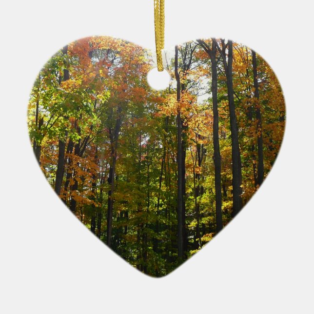 Sunlit Fall Forest Autumn Landscape Photography Ceramic Ornament (Front)