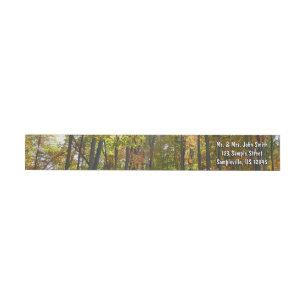 Sunlit Fall Forest Autumn Landscape Wrap Around Label