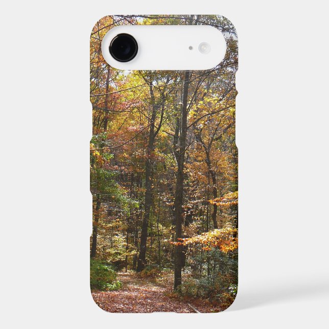 Sunlit Fall Trail in Laurel Hill State Park Case-Mate Samsung Galaxy Case (Back)