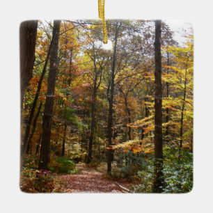 Sunlit Fall Trail in Laurel Hill State Park Ceramic Ornament