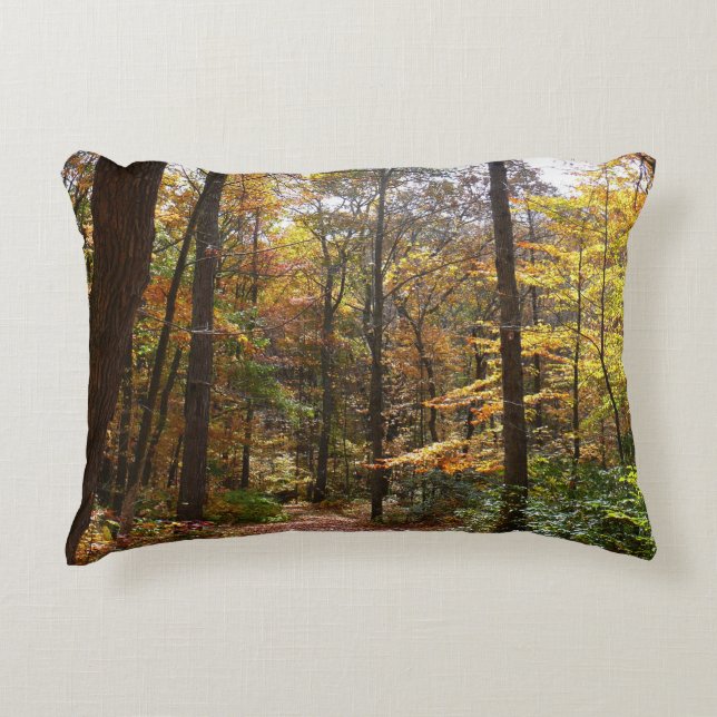Sunlit Fall Trail in Laurel Hill State Park Decorative Pillow (Front)