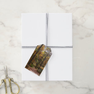 Sunlit Fall Trail in Laurel Hill State Park Gift Tags