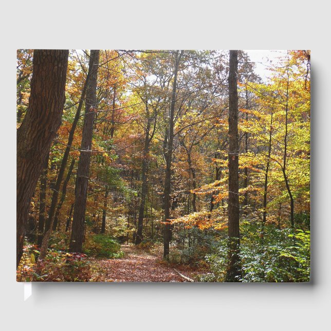 Sunlit Fall Trail in Laurel Hill State Park Guest Book (Front)