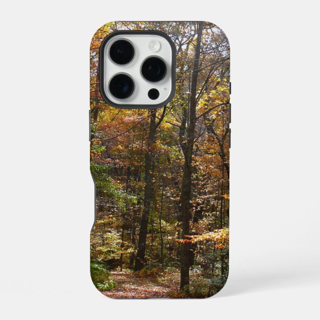 Sunlit Fall Trail in Laurel Hill State Park iPhone Case (Back)