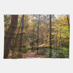 Sunlit Fall Trail in Laurel Hill State Park Kitchen Towel