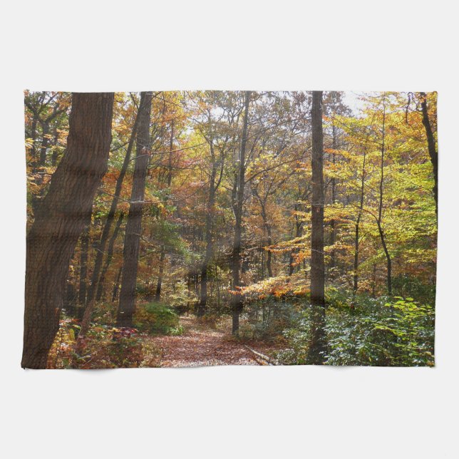 Sunlit Fall Trail in Laurel Hill State Park Kitchen Towel (Horizontal)