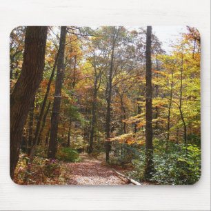 Sunlit Fall Trail in Laurel Hill State Park Mouse Pad