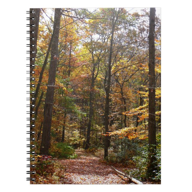 Sunlit Fall Trail in Laurel Hill State Park Notebook (Front)