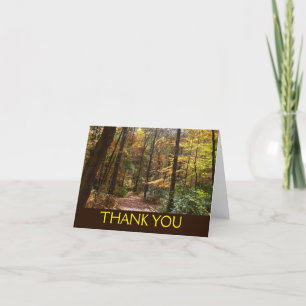 Sunlit Fall Trail in Laurel Hill State Park Thank You Card