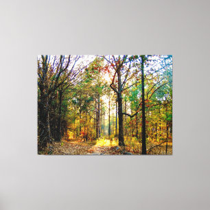 Sunlit Forest Path in Autumn Canvas Print