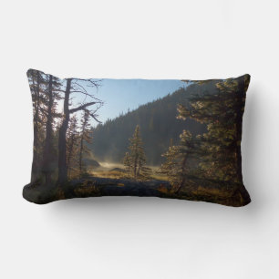 Sunlit Frosted Pine Trees at Dream Lake Lumbar Pillow
