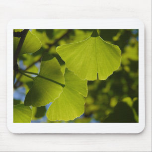 Sunlit Ginkgo Leaves Mouse Pad