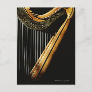 Sunlit Harp Postcard