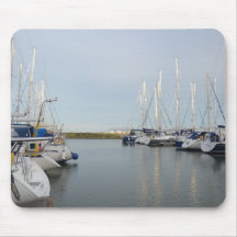 Sunlit Masts