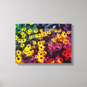 Sunlit Meadow Canvas Print