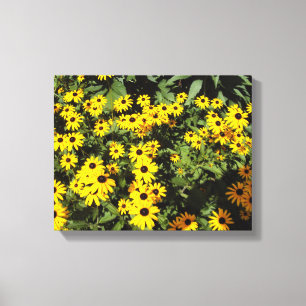 Sunlit Meadow Canvas Print