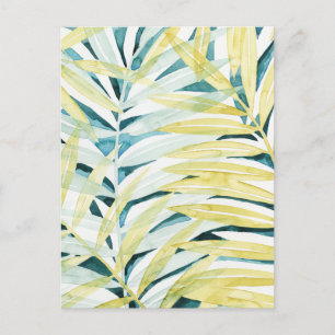 Sunlit Palms - Palm Tree Leaves Postcard